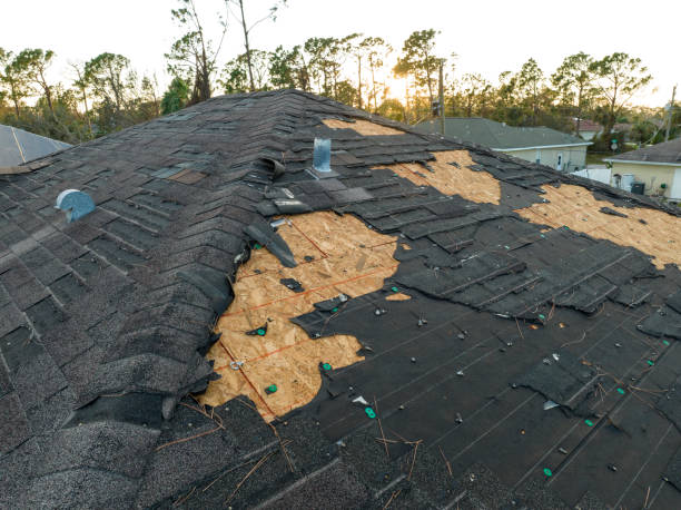 Best Wood Shake Roofing  in West Point, VA