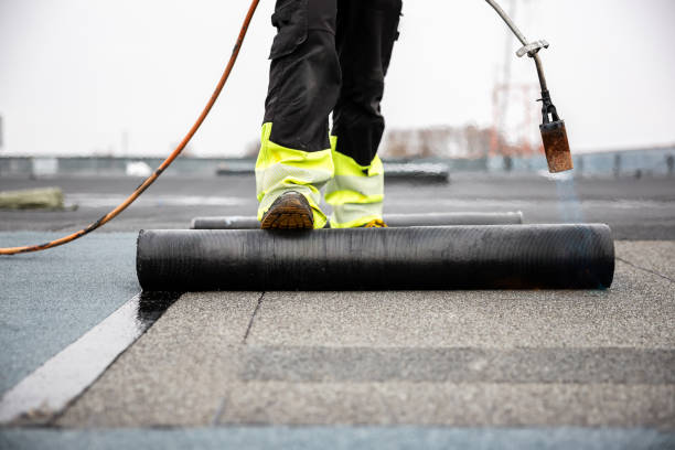 Best Roof Moss and Algae Removal  in West Point, VA